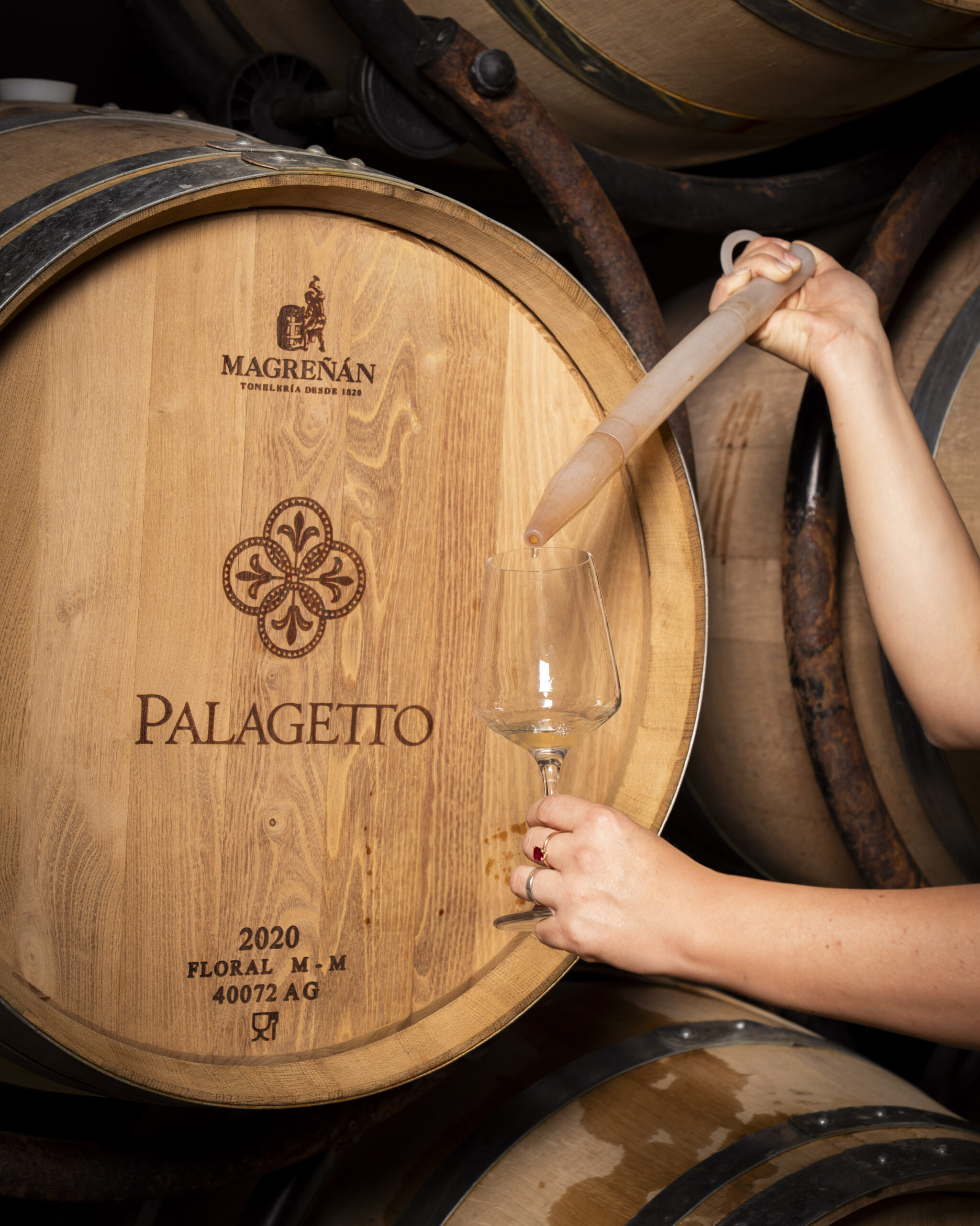 The Shades of Vernaccia di San Gimignano