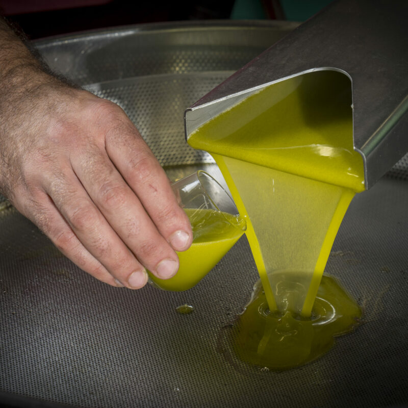 Olive Oil & Flavoured Oils Tasting – Light Lunch