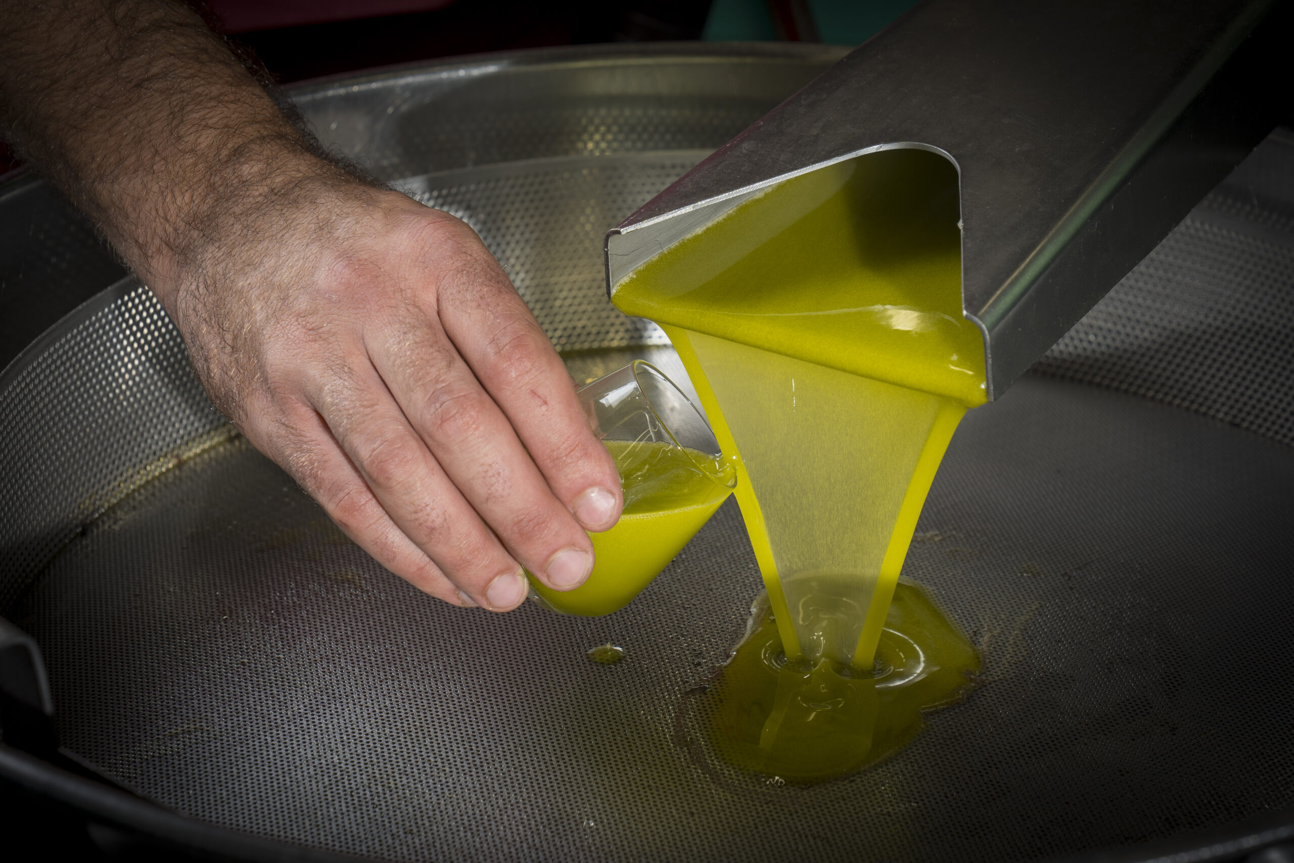 Olive Oil & Flavoured Oils Tasting – Light Lunch