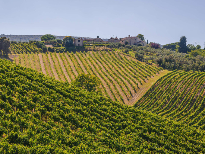 Cooking Class & Vineyard Lunch
